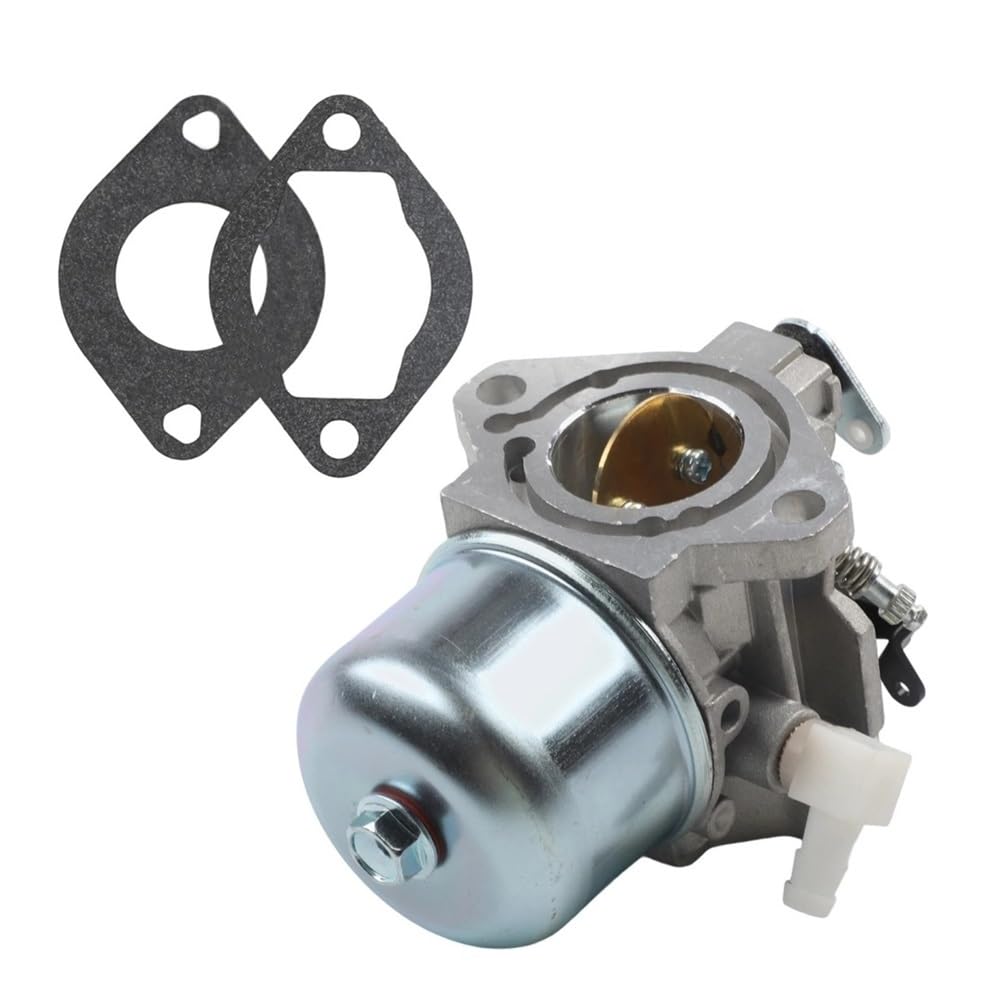 Carburador Compatible con cortacéspedes 699831, 694941, 286702, 28R707 y 28D707