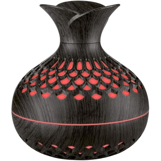 Flower Vase Mist Humidifier and Essential Oil Aroma Diffuser