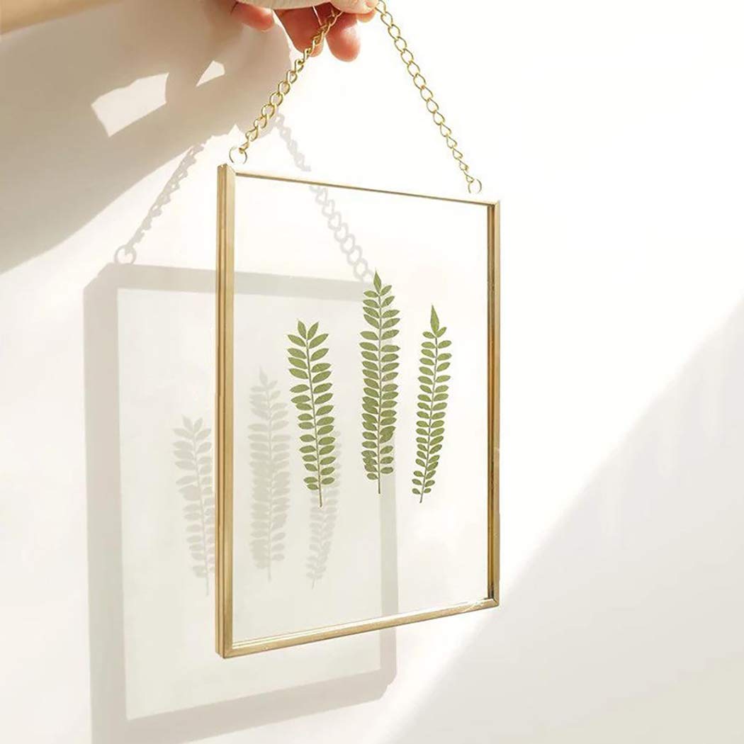 FunPa Brass Hanging Photo Frame,DIY Artwork Display Frame for Dried Plant Specimen Pressed Flowers, Dried Flowers, Double Glass, Glass Frame only