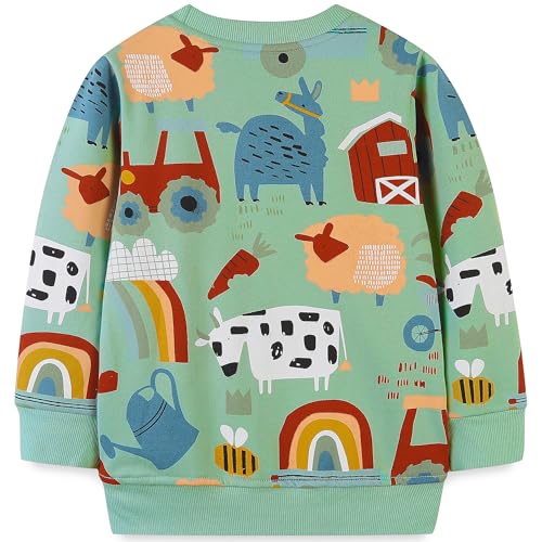 Image of AIWUHE Toddler Cotton Sweatshirt Boys Girls Pullover Long Sleeve Tops 2-6Y | Tops Blouse, Cotton T-Shirt, Fall Winter Clothes