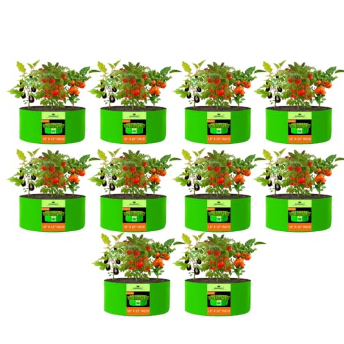 Image of Kingwell Grow Bag For Terrace Garden Leafy Vegetable Plant Grow Bags Fruits Growing Containers For terrece Gardening (18 X 12 INCH, PACK OF 10)