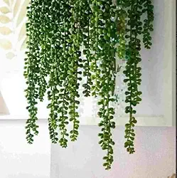 Suculenta Pendente Artificial Com 3 Ramos De 60, 70 E 80 Cm.