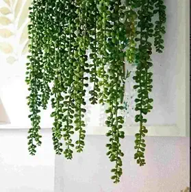 Suculenta Pendente Artificial Com 3 Ramos De 60, 70 E 80 Cm.