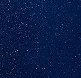 RestorePontoon Pontoon Fence Paneling- 26' x 40' Indigo Blue