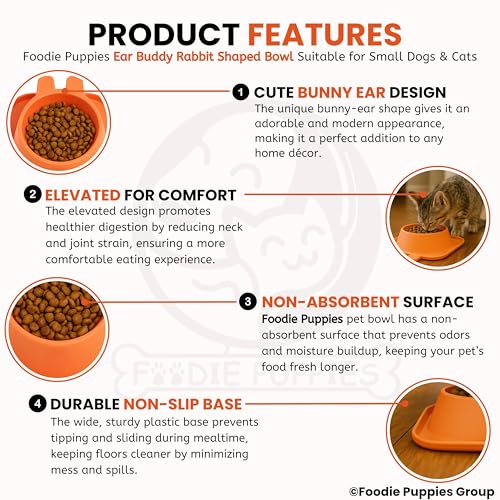 Image of Foodie Puppies Pet Feeding Tilted Cat Bowl - (Ear Buddy Rabbit Shape) | Durable, Anti Vomiting, Healthy Cat Feeder for Persian Cat Prevent Tipping Over | Bowl for Cats, Kittens & Puppies
