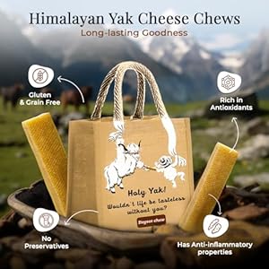 Dogsee Himalayan Yak Cheese Dental Chews for Dogs 2lb xl  6 Chews | 100 Natural | No Grain No Gluten | Odorless Dog Treats  Cucciolini Doodles Dogsee himalayan yak cheese dental chews for dogs 2lb xl  6 chews | 100 natural | no grain no gluten | odorless dog treats   cucciolini doodles