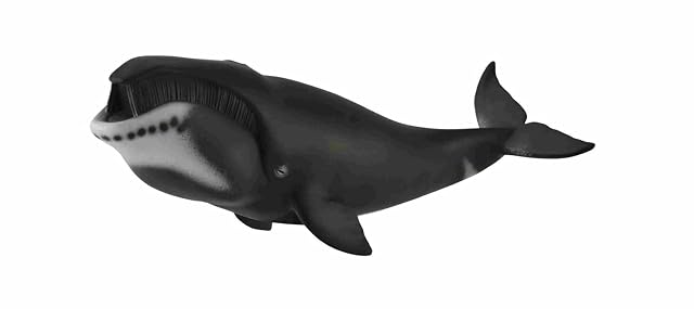 Foto 4 de 8 de Collecta Bowhead Whale