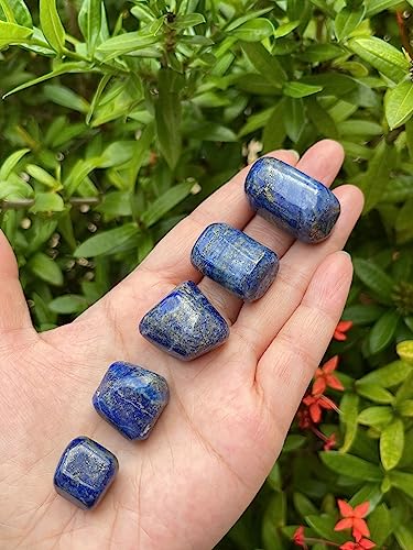 Image of GAF TREASURES 1 /2 LB Lapis Lazuli Tumbled Stones, Polished Lapis Lazuli Gemstone, Lapis Lazuli Healing Crystals (Lapis Lazuli)