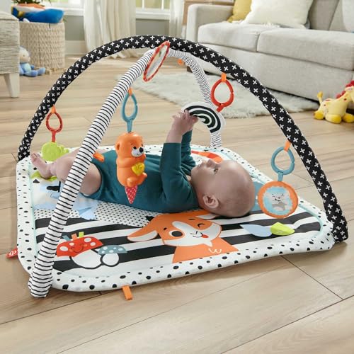 Fisher-Price-Tierfreunde-Kontrast-Spieldecke-Spielbogen-Baby-Spielzeug-mit-Musik-und-Licht-Krabbeldecke-fur-Baby-Spielebogen-weich-Spielbogen-Baby-Madchen-Jungen-Baby-Ausstattung-0-HPF39