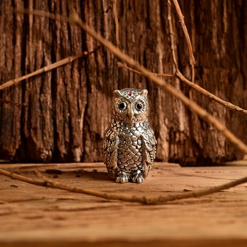 Image of DHRUVS COLLECTION 999 Silver Vastu Owl | Religious & Corporate Decorative Gifts | Handmade Owl Sculpture, Feng Shui Bird, Evil Eye Protection, Paper Weight, Home & Office Table Showpiece