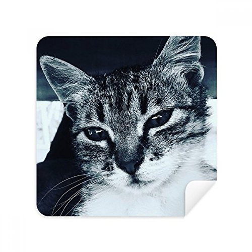 Chiffon pour écran de téléphone portable en daim gris lot de 2 pour le bureau