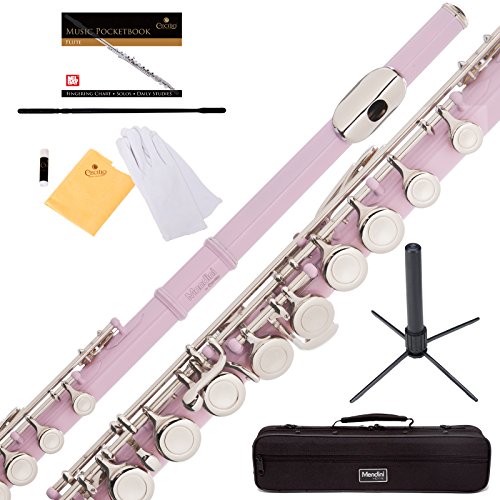 Mendini Closed Hole C Flute with Stand, 1 Year Warranty, Case, Cleaning Rod