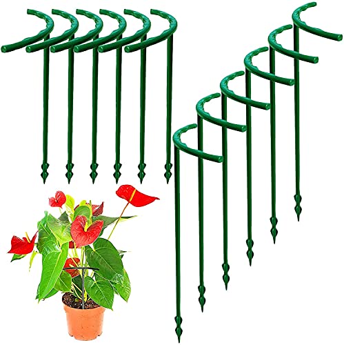 MYUOOT Pflanzenstützstäbe, Ringkäfigrahmen, Blumenpflanzen-Unterstützung für hohe Topfgärten Cover
