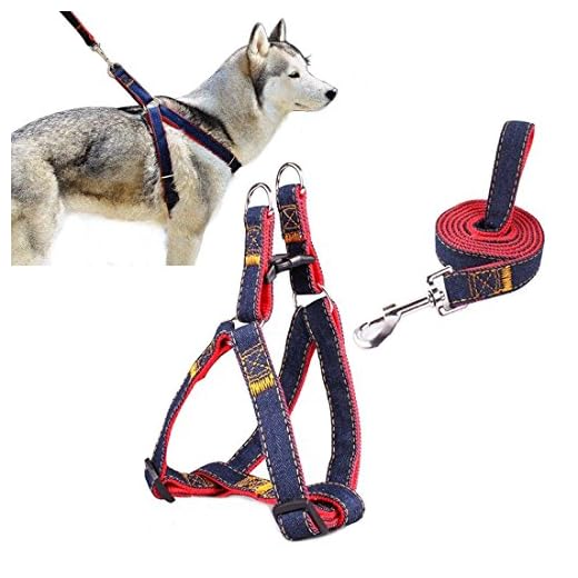 Sopito arnés con Correa Ajustable de Vaquero para Mascotas Perro,Gato,cinturón de Pecho y Espalda,Hombro para Llevar Perros con Seguridad para Perro pequeño,Mediano,Grande (Rojo,M)