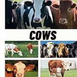 Toddler Book About Cows: Includes Over 100 Real Photos of All Kinds Of Cows