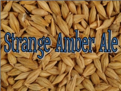 Strange Brew Advanced All Grain Home Brew Beer Ingredient Kit: Amber Ale