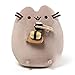 GUND Pusheen, Multicolor (Enesco 4058938)