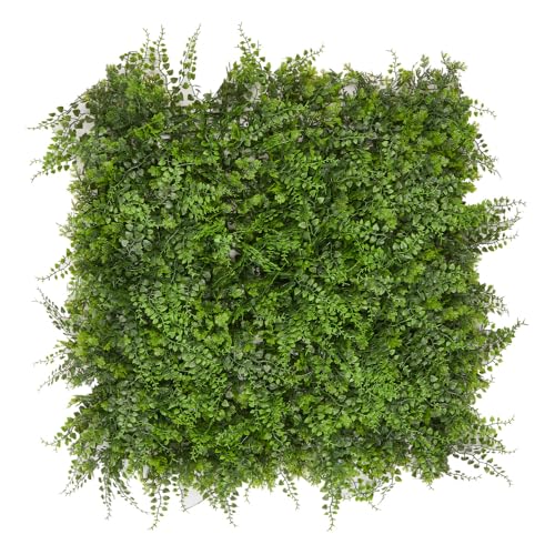 Hansmeier Mur végétal fougère | Jardin vertical | 50 x 50 cm | Montage rapide et extensible | Brise-vue | Panneaux muraux | Plante artificielle