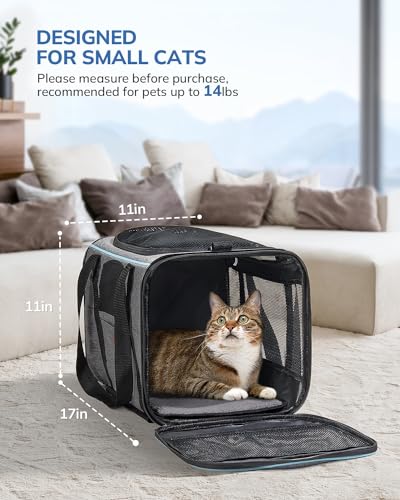 Transporttasche für Katze mit Rollen, Faltbarer Katzentransportbox Hundetragetasche Transportbox Hund mit Trolley für kleine Hunde und Katzen