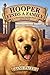 Hooper Finds a Family: A Hurricane Katrina Dog's Survival Tale