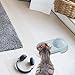 Welpennäpfe | Macaron Elevated Cat Double Bowl | Welpenfutter- und Wassernäpfe-Set, Fressnäpfe zum Füttern von kleinen, mittelgroßen Hunden, Katzen, Welpen