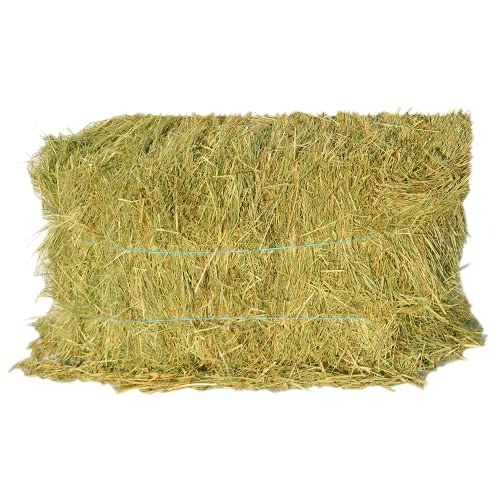 Ballot de Foin Natura 2000 - Qualité Extra - 60 x 50 x 40cm - Entre 10 à 12kg