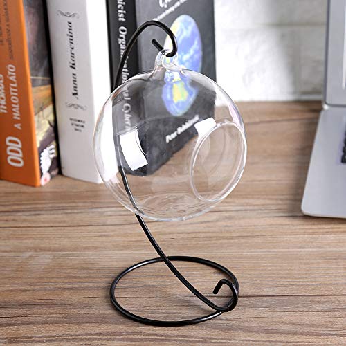 Vaso de vidro para pendurar arte em ferro, suporte de mesa, vasos de plantas redondos de vidro para
