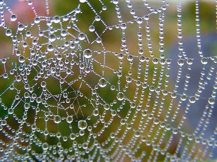 'Unlocking' Direct Realization(s) . . . Podcast Por  arte de portada