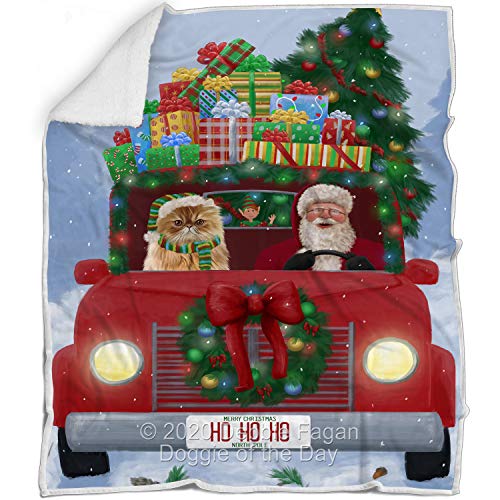 Doggie of the Day Persian Cat Blanket - Christmas Honk Honk Red Truck with Santa - Super Soft & Warm Pet Theme for Sofa or Bed, Warm Fleece, Sherpa or Woven Material BLNKT140968 (60x80 Fleece)