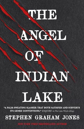 Preisvergleich Produktbild The Angel of Indian Lake