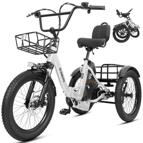 ESKUTE T300 MAX Electric Tricycle