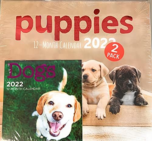 Steelpangal – 2022 2-pack PUPPIES 12- Month Wall Calendar 12″ x 11″