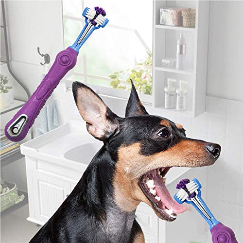 Brosse à dents 3 faces pour chien Orgrimmar à triple tête efficace - 2