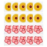 30 PCS Flies & Bug Window Fly Trap, Floral Pattern Design Sticky Fly Catcher for Indoor Houseflies Fly Gnat, Nontoxic and Pesticide-Free