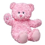 Build A Bear Workshop Pink Cuddles Teddy