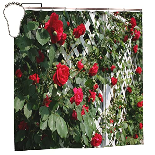 SATOHA Red Rose Flower and Green Leaf Shower Curtain Set including 12 Hooks - Bath Fence Garden Outdoor Scenic Fabric for Bathroom