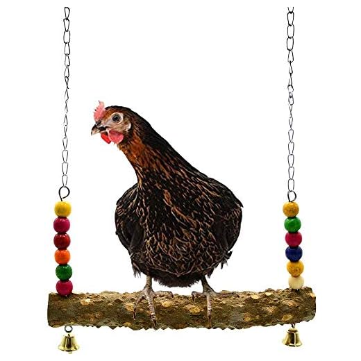 Chicken Swing Toys with Natural Wooden for Hens Large Bird Parrot Macaw Training
