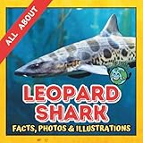 All about Leopard Shark | Facts, Photos and Illustrations: A Picture Book for Curious Children | Screen-Free Infotainment (MY WORLD for YOUNG READERS)