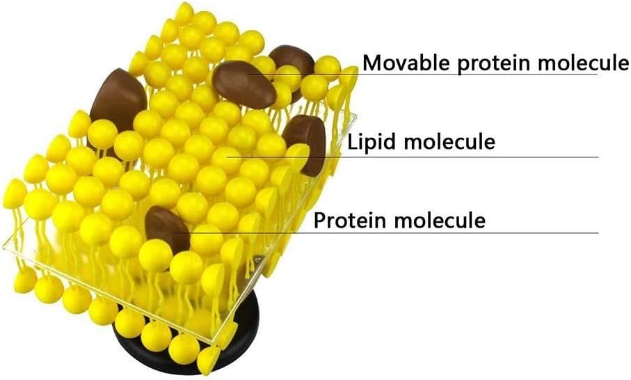 ミントベリル 結晶 原石 ナイジェリア産