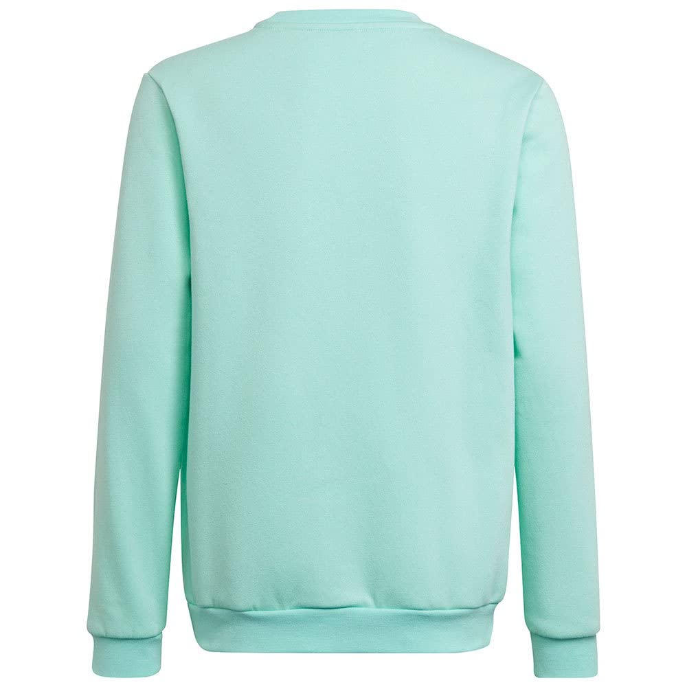 adidas Uniseks - dzieci Entrada 22 Sweat Top, Clear Mint, 11-12 Years
