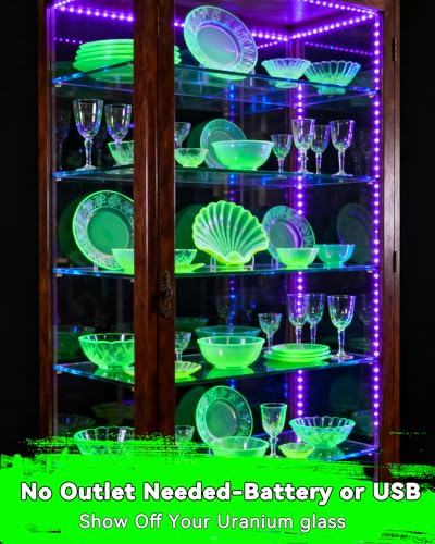 Tira de luz negra LED 16.4FT con enchufe USB y caja de batería miniatura 2
