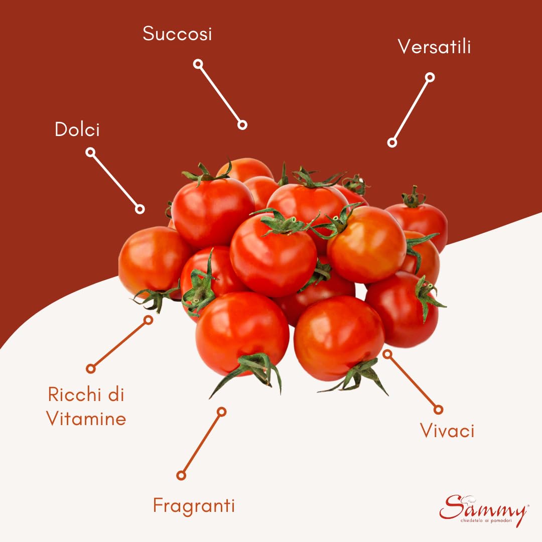 SAMMY - I Pomodorini, Pomodorino Ciliegino in Succo di Pomodoro, 100% Filiera Italiana, per un Sapore Dolce e Intenso, 12 Pezzi in Latta da 400 gr