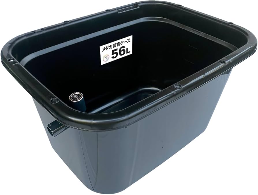 Amazon | 五色アクア メダカ飼育容器 56リットル 黒