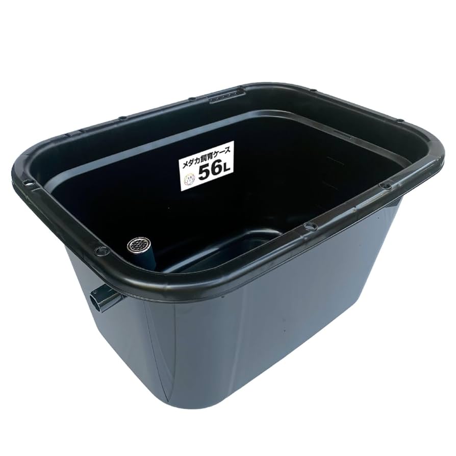 メダカ 飼育ケース 56㍑x3個 白黒灰選択可 オーバーフロー加工済 金魚 Amazon | 五色アクア メダカ飼育容器 56リットル 黒
