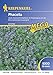 Produktbild Kiepenkerl 615762 Phacelia 2 kg (Phaceliasamen)
