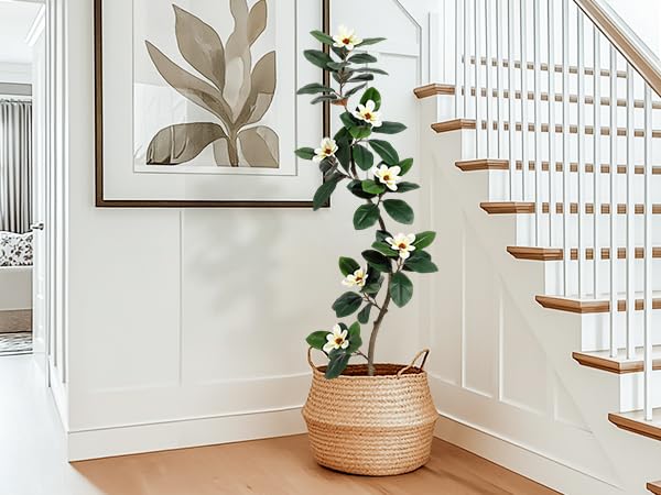 GAOMON 6FT Artificial Fiddle Leaf Fig Tree with Magnolia Flowers, Faux Plants with White Planter Pot, Faux Floor Plant, Indoor and Outdoor Rubber Tree for Home Office Decor
