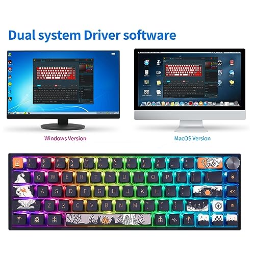 Teclado Gamer SKYLOONG GK68 Conectividad USB-C miniatura 4