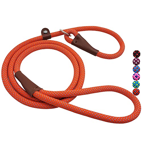 MayPaw Slip Lead Dog Leash, 5 Ft Pet/Puppy Training Leash 1/4" Thin Nylon Rope, Adjustable Pet Collar Lead for Small and X-Small Dogs (1/4" x 5ft, Orange)