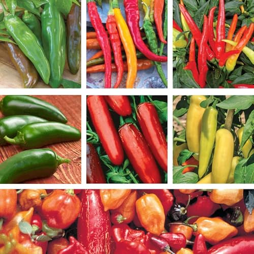 Image of Ferry-Morse Hot Pepper Seed Variety Pack - Non-GMO - 7 Pack