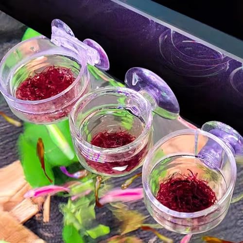 5 Stück Aquarium Pflanzenhalter mit Saugnapf, Futterbehälter Aquarium für Garnelen, Fisch, Acryl Aquarium Wurm Feeder, Runder Boden Aquarium Futterschale mit Saugnapf, 3,6 x 4 cm